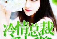 吃瓜娱乐圈博主推荐小说