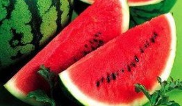 娱乐吃小瓜,吃小瓜背后的故事与真相