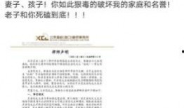 娱乐吃瓜者被告,揭秘网络舆论的边界与责任