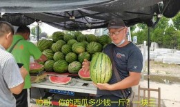 娱乐吃瓜走红路线,揭秘网络红人的崛起之路