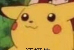 皮卡丘娱乐圈吃瓜,吃瓜群众眼中的萌宠明星