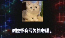 娱乐八卦开心吃瓜视频