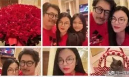 2016娱乐圈看图吃瓜,图解年度大瓜，笑料与泪点齐飞