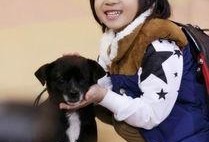 娱乐吃瓜酱岳父,娱乐吃瓜酱岳父的温馨瞬间