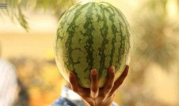 娱乐最近吃瓜大事件,揭秘幕后真相，带你走进事件核心