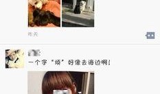 娱乐吃瓜酱朋友圈三天,揭秘娱乐吃瓜酱的瓜界风云