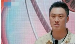 娱乐圈吃瓜侠,揭秘“吃瓜侠”背后的故事