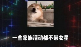 娱乐吃瓜群众爆料,神秘事件背后真相大揭秘！