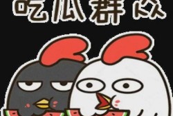娱乐吃瓜小杰是谁呀