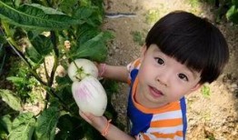 娱乐吃瓜酱爷爷打伞