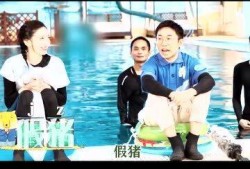 吃瓜娱乐节目策划的结尾,吃瓜节目精彩瞬间大盘点