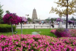 西安追星吃瓜娱乐公司,吃瓜娱乐公司引领潮流解析