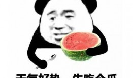 娱乐吃瓜表情图片可爱版,娱乐吃瓜表情可爱版大盘点
