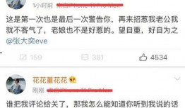 娱乐圈吃瓜张大奕,揭秘张大奕的明星生活与争议风波