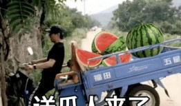 娱乐吃瓜文案啊怎么说的,吃瓜群众视角下的幕后故事