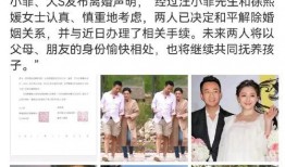 娱乐圈吃大瓜小说,揭秘明星背后的惊天大瓜