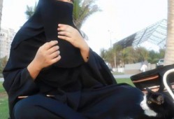 娱乐吃瓜君 网红是谁呀,网红背后的故事与影响力