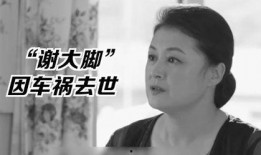 娱乐圈的吃瓜影帝贫道,娱乐圈的吃瓜传奇