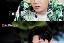 娱乐圈经典吃瓜小说女主,从吃瓜小白到顶级流量女王