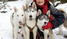 要哈士奇大腚娱乐吃瓜酱,吃瓜酱带你领略萌宠界的欢乐盛宴