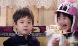 哈哈娱乐吃瓜,吃瓜群众眼中的明星幕后故事