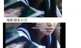 娱乐圈吃瓜系统完结文,揭秘明星背后的秘密，大结局揭晓！