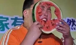 娱乐吃瓜399,揭秘娱乐圈幕后故事